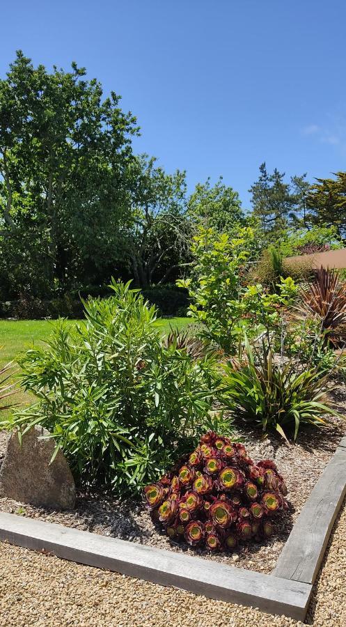 Ti-prenn des Lavandières Le Conquet Extérieur photo